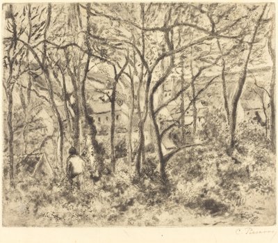 Paisagem arborizada em L