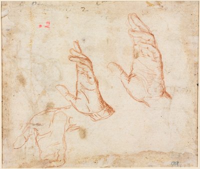 Estudo das mãos (verso) de Camillo Procaccini
