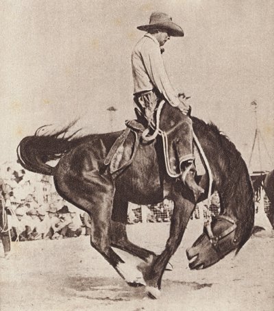 Cowboy a montar um bucking bronco (fotografia a preto e branco) de Canadian Photographer
