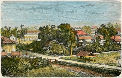 Tonga, c1885 de Canedi Barberis