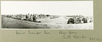 Linhas de Transporte de Camelo, Khan Yunis, outubro de 1917 de Capt. Arthur Rhodes