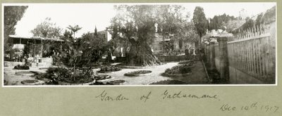 Jardim do Getsêmani, 14 de dezembro de 1917 de Capt. Arthur Rhodes