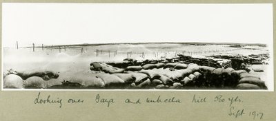 Olhando por cima de Gaza e da Umbrella Hill, em setembro de 1917 de Capt. Arthur Rhodes