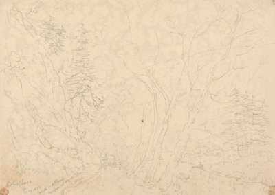 Holne Chase, 30 de Maio de 1833 de Capt. Thomas Hastings