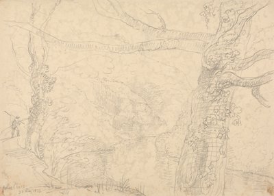 Holne Chase, 30 de Maio de 1833 de Capt. Thomas Hastings