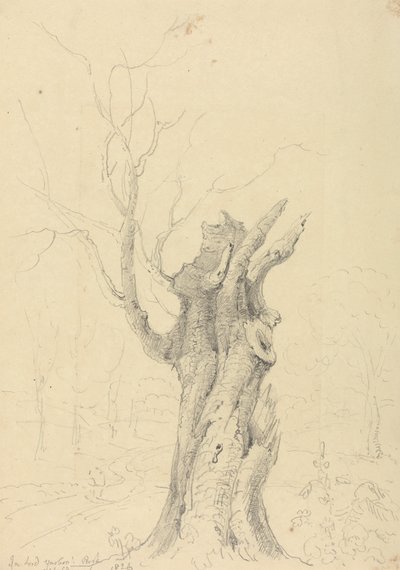 Em Lord Yarborough