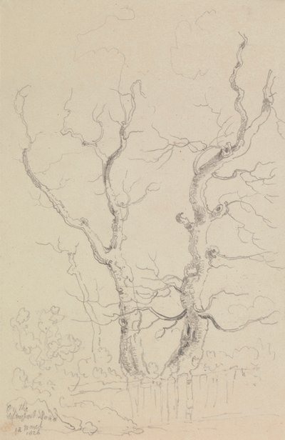 Na estrada de Newport, Ilha de Wight de Capt. Thomas Hastings