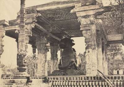 Grande Pagode, Grande Touro, Vista Frontal, Tanjore, Índia (Templo Rajarajesvara) de Captain Linnaeus Tripe