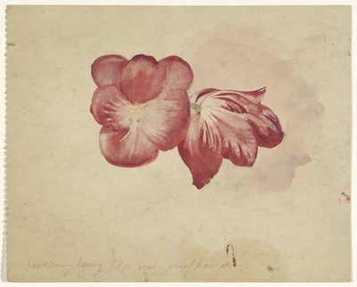 Duas tulipas vermelhas de Carel Adolph Lion Cachet