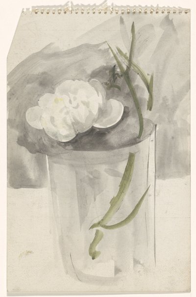 Flor branca em um copo de Carel Adolph Lion Cachet