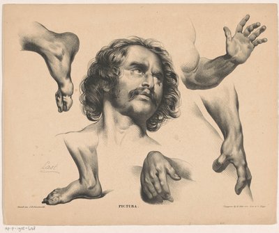Cabeça de um homem, pés, mãos e braços Pictura (título da série no objeto) de Carel Christiaan Antony Last