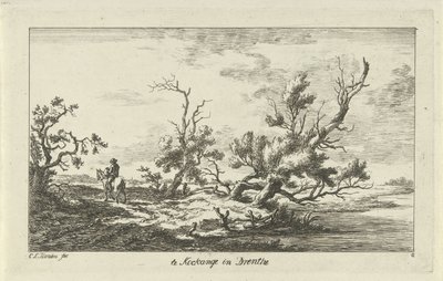 Cavaleiro em uma paisagem Te Kockange em Drenthe (título no objeto) Paisagens (A-F) (título da série) de Carel Lodewijk Hansen
