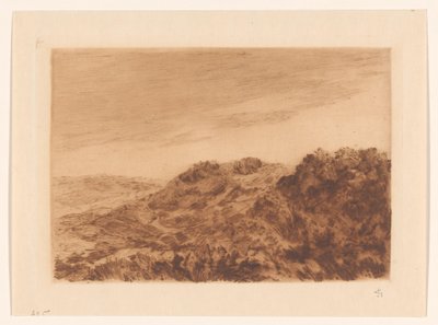 Paisagem dunar perto de Haia de Carel Nicolaas Storm van 