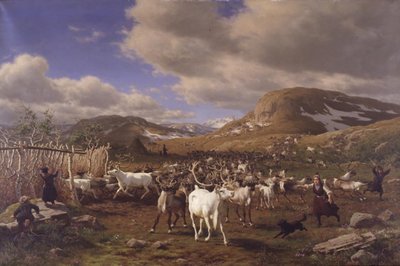 Um rebanho de renas é levado para a sala de ordenha. O motivo das altas montanhas ao norte de Røros de Carl Bøgh