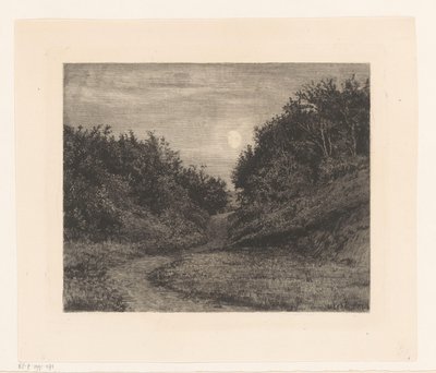 Caminho da floresta ao luar de Carl Bloch