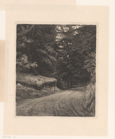 estrada da floresta de Carl Bloch
