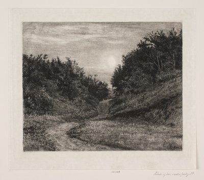 Uma noite de Verão iluminada pelo luar de Carl Bloch