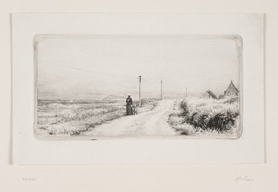 Estrada de campo com senhora de passeio. Tarde ensolarada de Carl Bloch