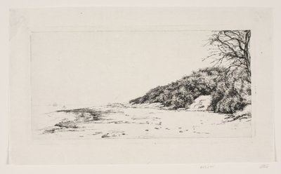 A encosta junto ao mar de Carl Bloch