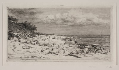 Stony Strandbred de Carl Bloch