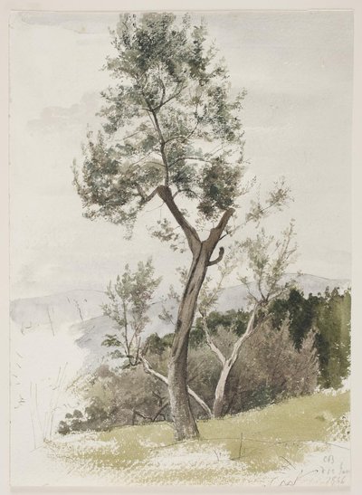 Árvores em uma encosta de Carl Bloch