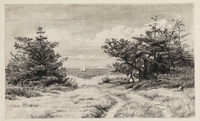 Vista para o mar de Carl Bloch