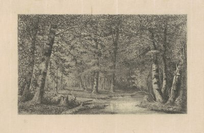 Floresta de Faias de Carl C. Brenner