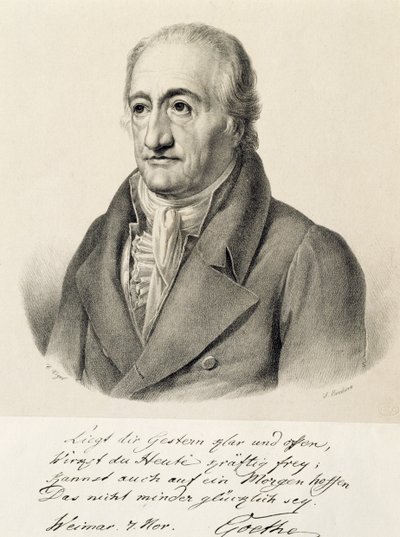 Retrato de Johann Wolfgang von Goethe (Frankfurt de Carl Christian Vogel von Vogelstein