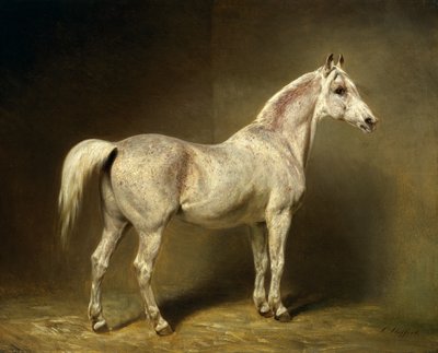 &39;Beatrice&39;, a cavalaria árabe branca de Helmuth Count von Moltke, 1855 de Carl Constantin Steffeck