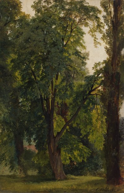 Madeira em Konigswusterhausen (óleo sobre tela colocado no cartão) de Carl Constantin Steffeck
