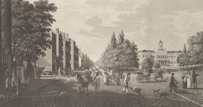 Floresta. de Carl Fredrik Akrell