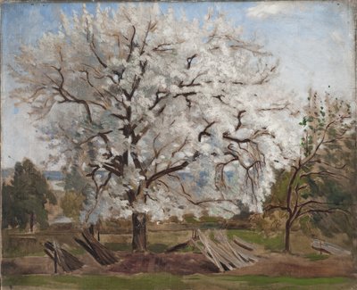 Macieira em flor, 1877 de Carl Fredrik Hill