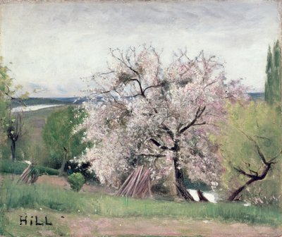 Árvore de fruta em flor, Bois-le-Roi de Carl Fredrik Hill