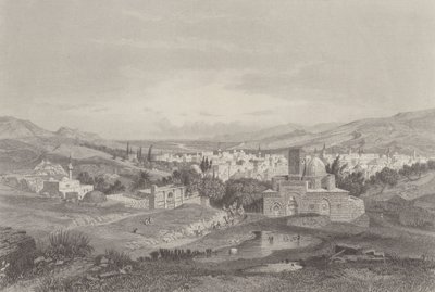 Rios de Damasco de Carl Friedrich Heinrich Werner