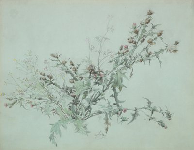 Floresta. de Carl Georg Anton Graeb