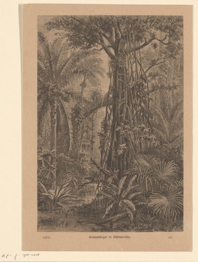 cara do mal Picanços de árvore na América do Sul (título no objeto) de Carl Gottlob Specht