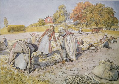Cavando batatas de Carl Larsson