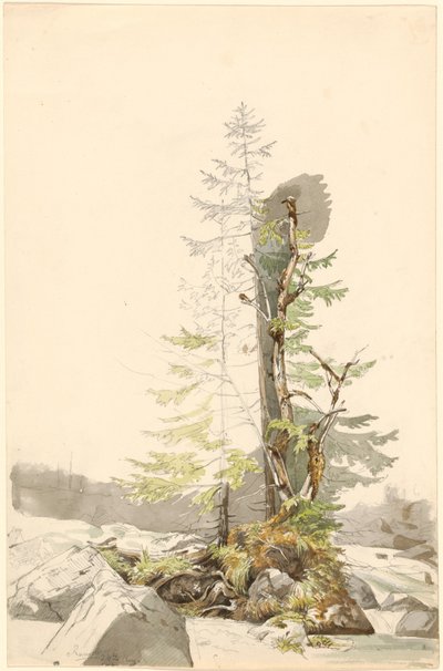 Um aglomerado de árvores por um córrego rochoso no Ramsau de Carl Morgenstern