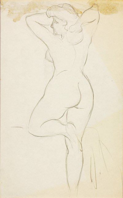 Nu feminino de Carl Newman