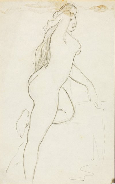 Nu feminino de Carl Newman