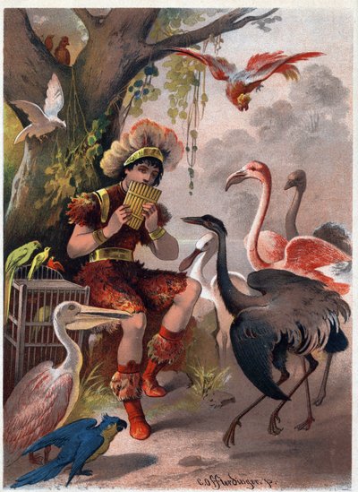 Papageno com uma flauta de panela traz as aves da floresta. Ilustração de Carl Offterdinger (1829-1889) em "A flauta encantada" (Die Zauberflote, flauto mágico, A flauta mágica). Coleção particular. de Carl Offterdinger