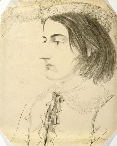 Ludwig Simon, Theological Student, 1816 (caneta e pincel e tinta preta em papel de capa) de Carl Philipp Fohr