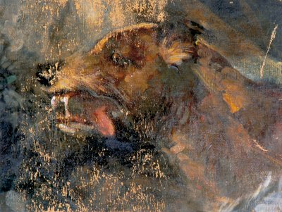 cabeça de cachorro de Carl Rudolf Huber