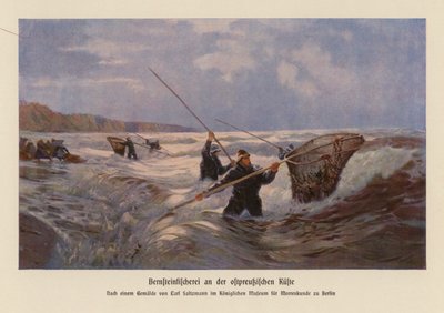 Recolha de âmbar no Mar Báltico, Prússia Oriental (litografia a cores) de Carl Saltzmann
