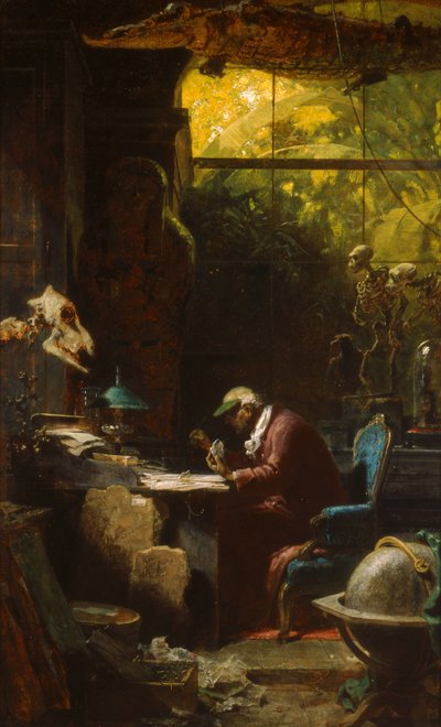 Investigador na área das Ciências Naturais de Carl Spitzweg