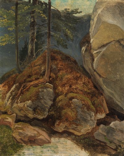 Estudo de óleo com rochas cobertas de musgo de Carl Spitzweg