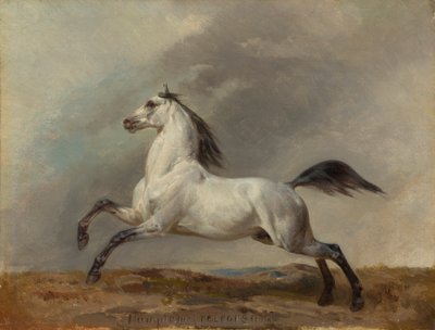 Garanhão cinzento à esquerda de Carl Steffeck