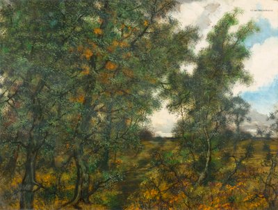 Na orla da floresta de Carl Strathmann