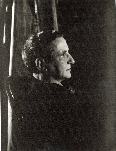 Gertrude Stein (1874-1946) 4 de novembro de 1934 (impressão em gelatina e prata) de Carl Van Vechten
