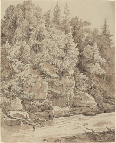 Penhascos arborizados ao longo de um córrego de Carl Wagner